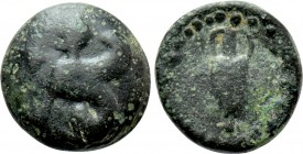 IONIA. Chios. Ae (Circa 431-412 BC).