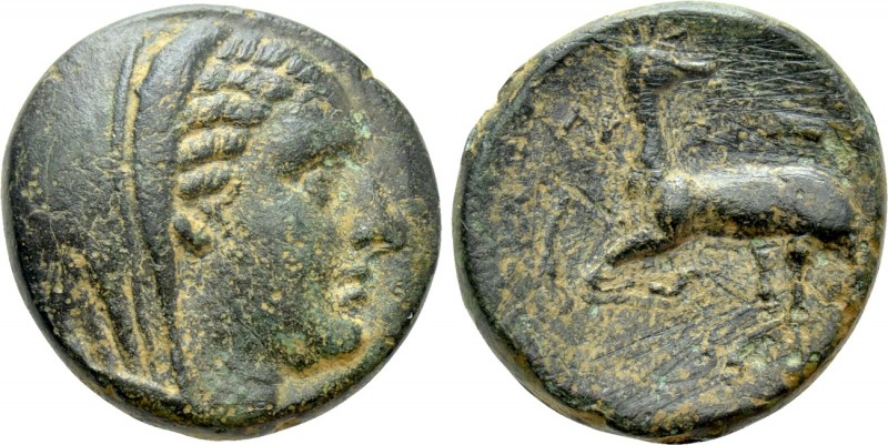 IONIA. Ephesos (as Arsinoeia). Ae (Circa 290-281 BC). Uncertain magistrate. 

...