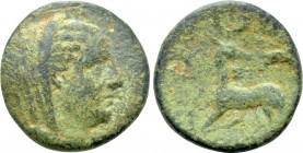 IONIA. Ephesos (as Arsinoeia). Ae (Circa 290-281 BC). Uncertain magistrate.