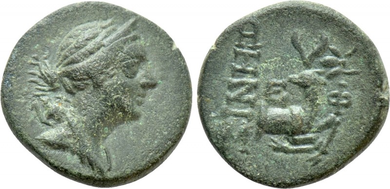 IONIA. Ephesos. Ae (Circa 258-202 BC). Xenis, magistrate. 

Obv: Diademed and ...