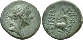 IONIA. Ephesos. Ae (Circa 258-202 BC). Xenis, magistrate.