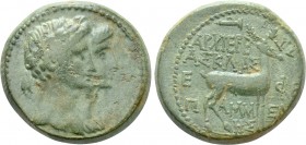 IONIA. Ephesos. Augustus and Livia (27 BC-14 AD). Ae. Asklas, archiereus; Pammenes, magistrate.