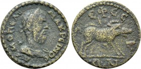 IONIA. Ephesos. Macrinus (217-218). Ae.
