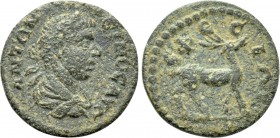 IONIA. Ephesos. Elagabalus (218-222). Ae.
