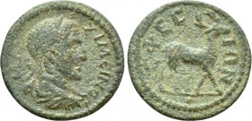 IONIA. Ephesos. Maximinus Thrax (235-238). Ae.