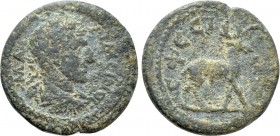 IONIA. Ephesos. Maximinus Thrax (235-238). Ae.