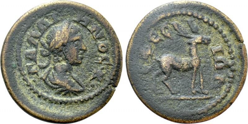 IONIA. Ephesos. Gallienus (253-268). Ae. 

Obv: ΓAΛΛIHNOΣ K. 
Laureate, drape...