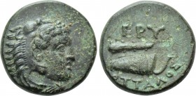 IONIA. Erythrai. Ae (Circa 4th century BC). Ottalos, magistrate.