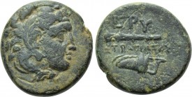 IONIA. Erythrai. Ae (Circa 4th century BC). Stratiotes, magistrate.