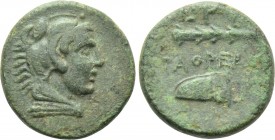 IONIA. Erythrai. Ae (Circa 4th century BC). Tathreas, magistrate.