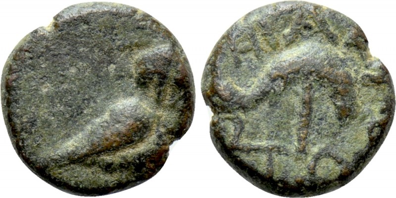 IONIA. Herakleia ad Latmon. Ae (2nd century BC). 

Obv: Owl standing right.
R...