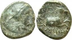 IONIA. Kolophon. Ae (Circa 285-190 BC). Agamedes, magistrate.