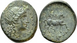IONIA. Kolophon. Ae (Circa 285-190 BC). Dositheos, magistrate.