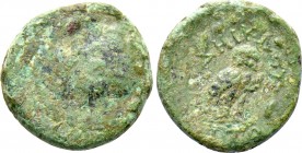 IONIA. Lebedos-Ptolemais. Ptolemy III Euergetes (246-222 BC). Ae. Diklos, magistrate.