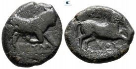 Apulia. Arpi 275-250 BC. Bronze Æ