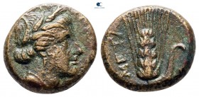 Lucania. Metapontion circa 350-300 BC. Bronze Æ