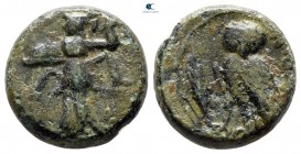Lucania. Metapontion 300-250 BC. Bronze Æ