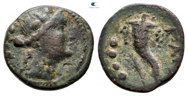 Lucania. Paestum circa 218-201 BC. 
Triens Æ

17 mm., 3,00 g.



very fin...