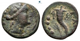 Lucania. Paestum circa 218-201 BC. Triens Æ