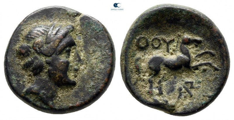 Lucania. Thourioi 280-213 BC. 
Bronze Æ

13 mm., 2,41 g.



very fine