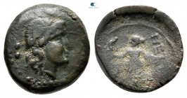 Bruttium. Petelia 300-250 BC. Bronze Æ