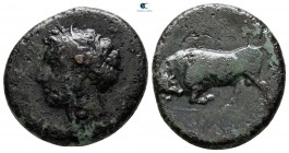 Sicily. Alontion (?) after 241 BC. Bronze Æ