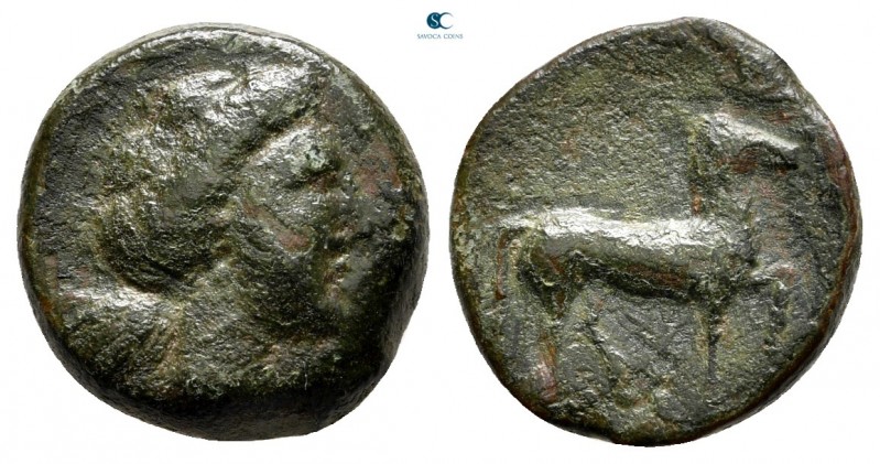 Sicily. Eryx 480-400 BC. 
Bronze Æ

14 mm., 3,52 g.



nearly very fine