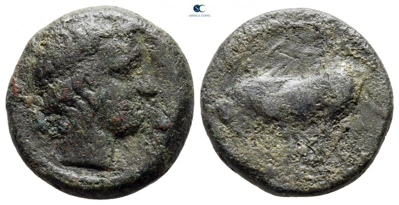 Sicily. Gela 415-405 BC. 
Tetras Æ

17 mm., 4,18 g.



fine