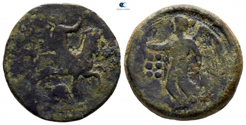 Sicily. Himera 425-409 BC. 
Hemilitron Æ

20 mm., 6,17 g.



nearly very ...