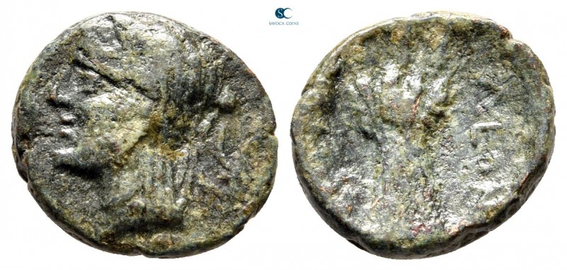Sicily. Leontinoi. Time of Roman Rule 212 BC. 
Bronze Æ

14 mm., 2,65 g.

...