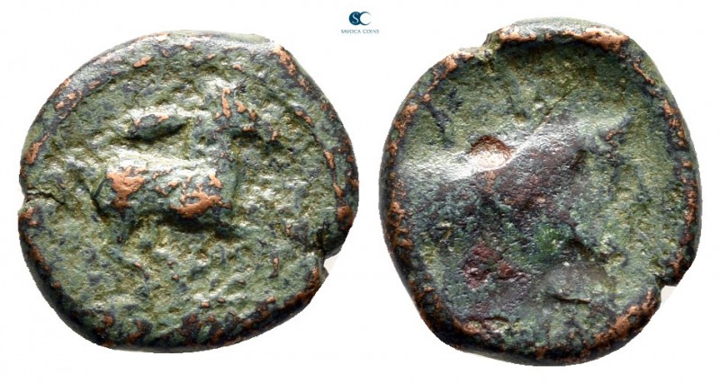 Sicily. Panormos as Ziz circa 336-330 BC. 
Bronze Æ

12 mm., 1,41 g.



n...