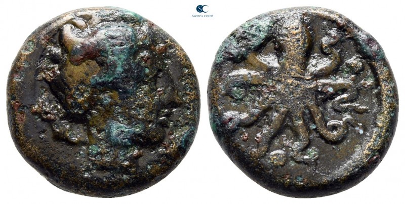 Sicily. Syracuse 435-415 BC. 
Tetras Æ

15 mm., 4,30 g.



very fine