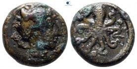Sicily. Syracuse 435-415 BC. Tetras Æ