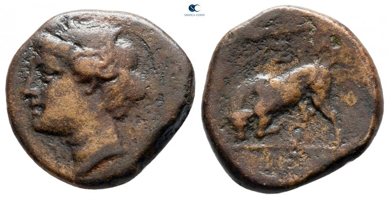 Sicily. Syracuse 317-289 BC. 
Bronze Æ

17 mm., 3,58 g.



nearly very fi...