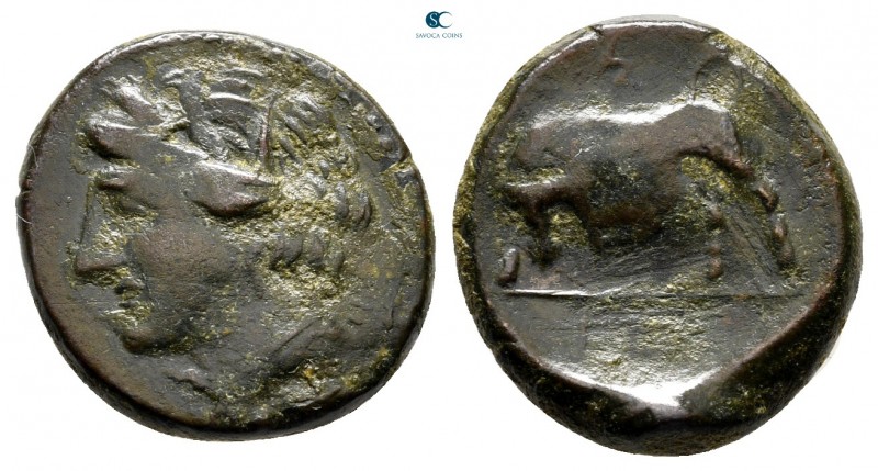 Sicily. Syracuse. Hieron II 275-215 BC. 
Bronze Æ

17 mm., 4,55 g.



ver...