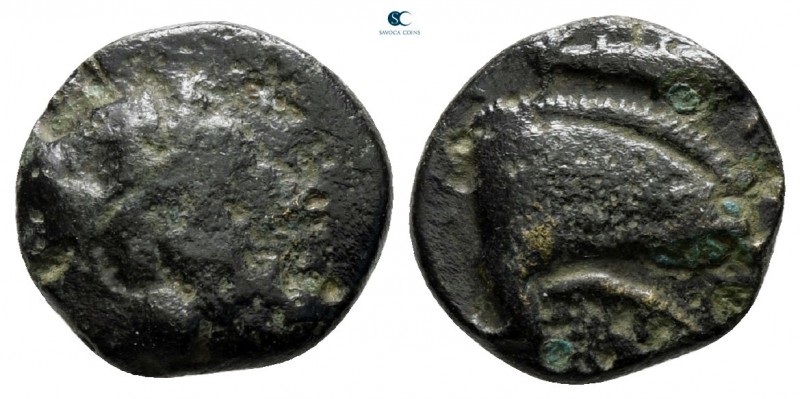 Kings of Macedon. Aigai. Amyntas III 393-369 BC. 
Bronze Æ

12 mm., 1,50 g.
...