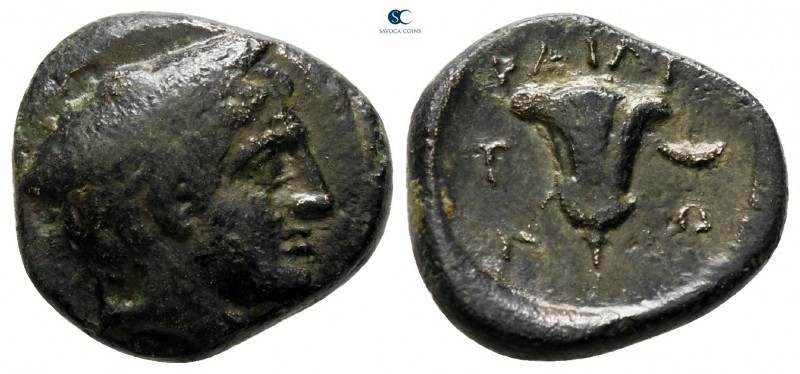 Macedon. Tragilos circa 380-300 BC. 
Bronze Æ

15 mm., 3,71 g.



very fi...