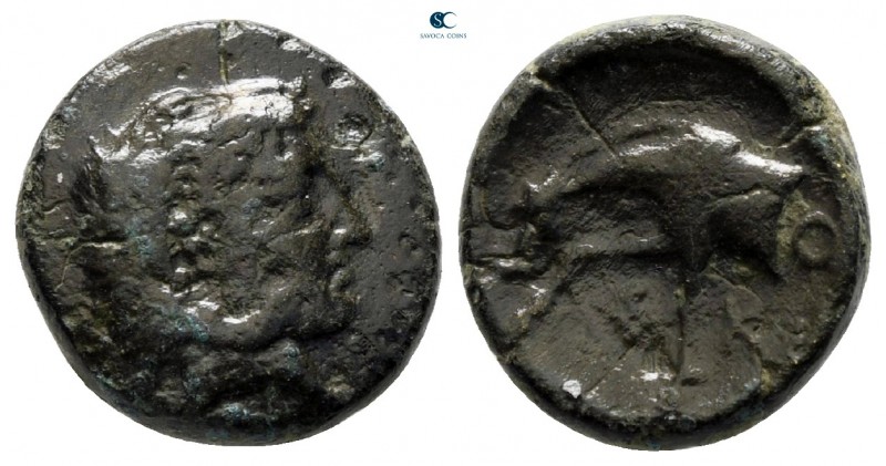 Thessaly. Skotussa circa 394-367 BC. 
Bronze Æ

13 mm., 2,46 g.



very f...