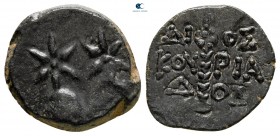 Colchis. Dioskourias 200-0 BC. Bronze Æ