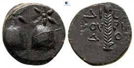 Colchis. Dioskourias 105-90 BC. Bronze Æ