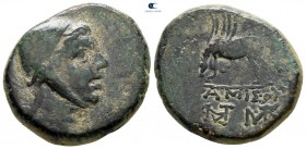 Pontos. Amisos. Time of Mithradates VI Eupator 85-65 BC. Bronze Æ