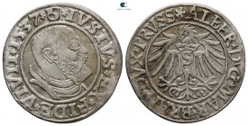 Germany. Preußen. Köningsberg. Albrecht AD 1525-1569. Groschen AR 1537