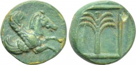 TROAS. Skepsis. Ae (4th-3rd centuries BC).