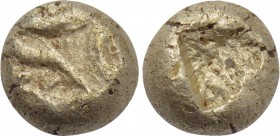 MYSIA. Kyzikos? EL 1/24 Stater (Circa 6th-5th centuries BC).