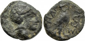 IONIA. Pedasa. Ae (4th century BC).