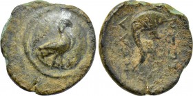 CARIA. Mylasa. Ae (2nd-1st centuries BC).