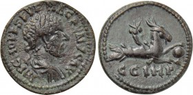 MYSIA. Parium. Macrinus (217-218). Ae.