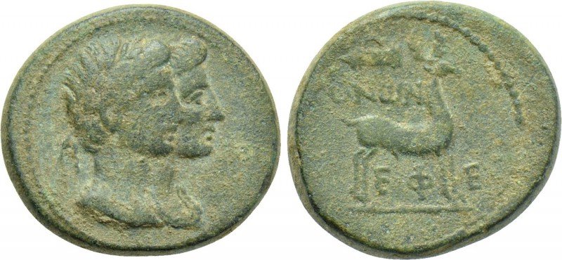 IONIA. Ephesus. Augustus with Livia (27 BC-14 AD). Ae Unit. Konon, magistrate. ...