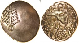 Corio Tree. c.20BC-5AD. Gold stater. 17-19mm. 5.34g. Dobunnic branch emblem on plain field./ Triple-tailed horse right, CORI[O], two pellets and cresc...
