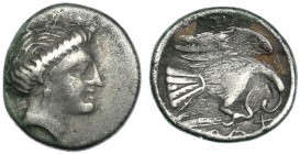 CALCIS. Eubea. Dracma (c. 369-313 a.C.). A/ Cabeza femenina. R/ Águila con serpiente. COP-437 (var.). SBG-2483 (var.). MBC-.